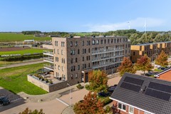 Lisdodde 151-5.jpg